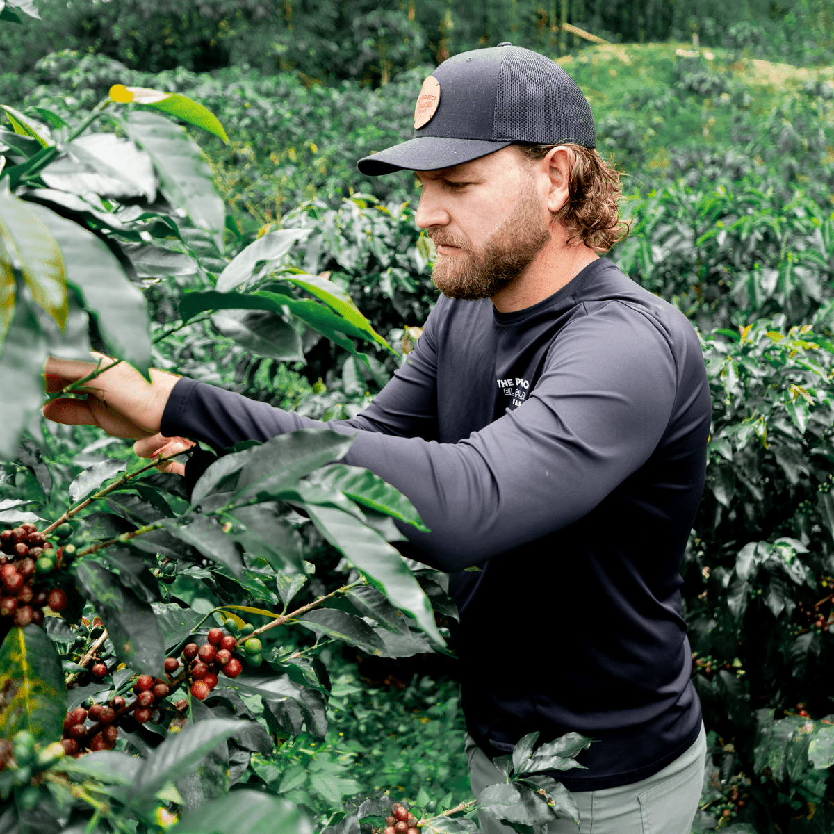 Sebastian Ramirez Peach Co - Ferment - DÖS COFFEE CLUB